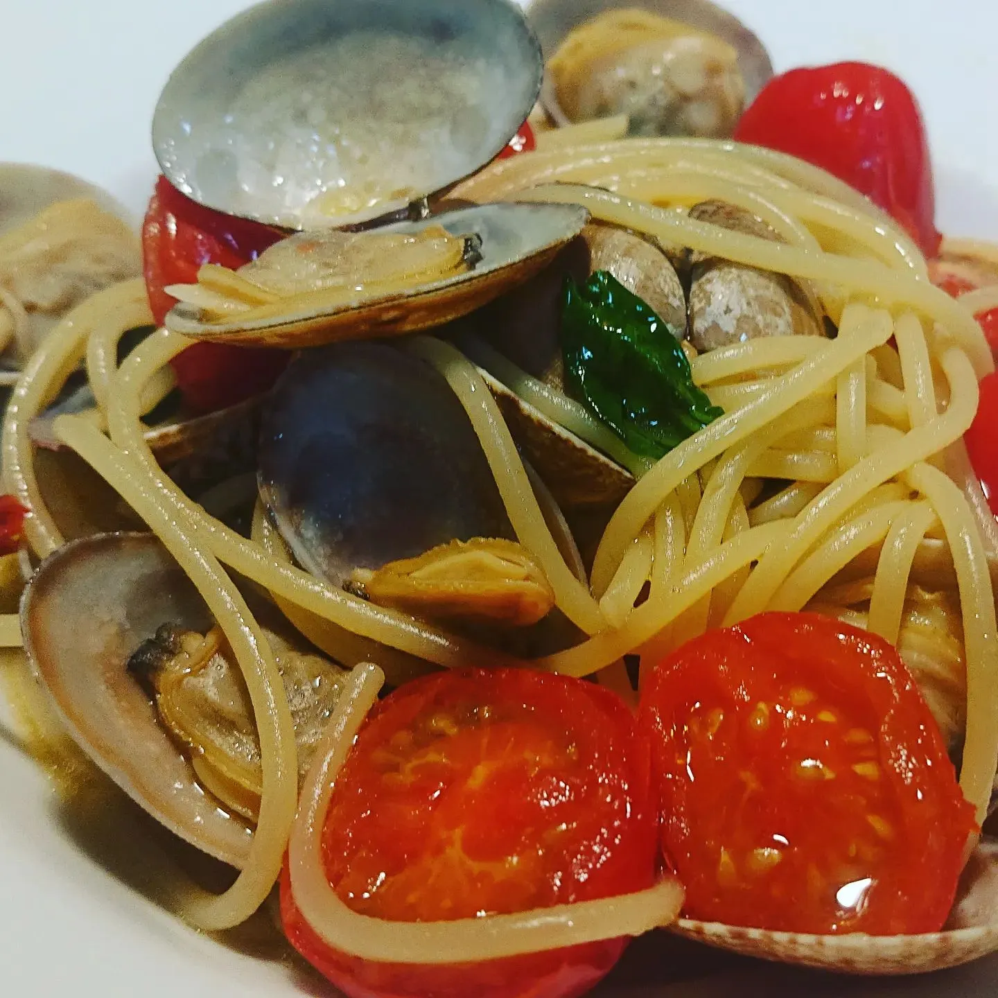 ボンゴレナポリ